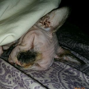 Meet your Posher, Beth